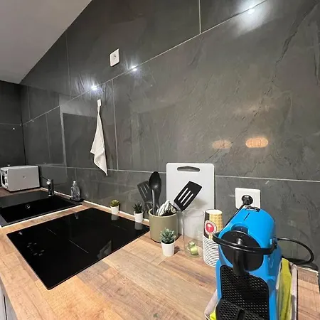 公寓 Charmant Appartement Strasbourg *