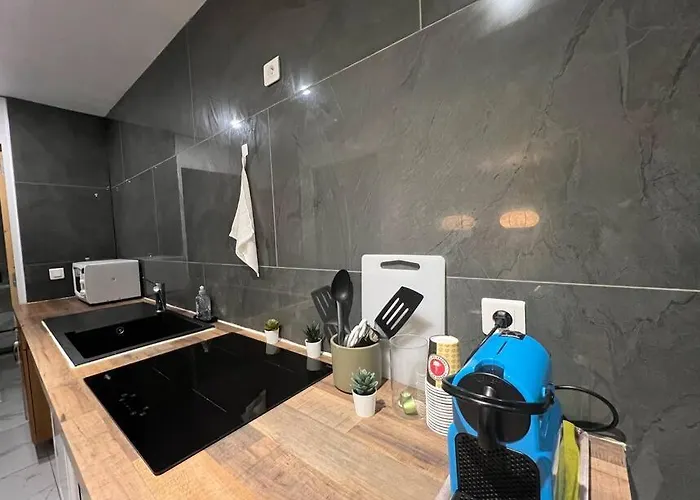 公寓 Charmant Appartement Strasbourg *