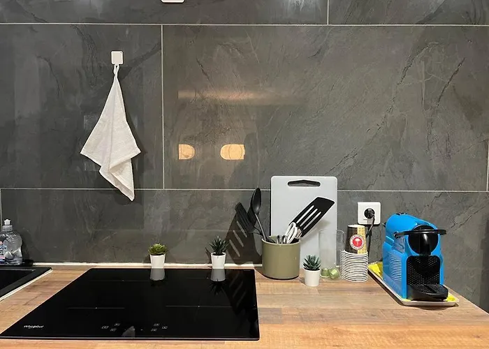 公寓 Charmant Appartement Strasbourg 斯特拉斯堡