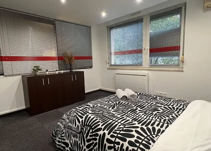 Charmant Appartement Strasbourg 公寓 斯特拉斯堡